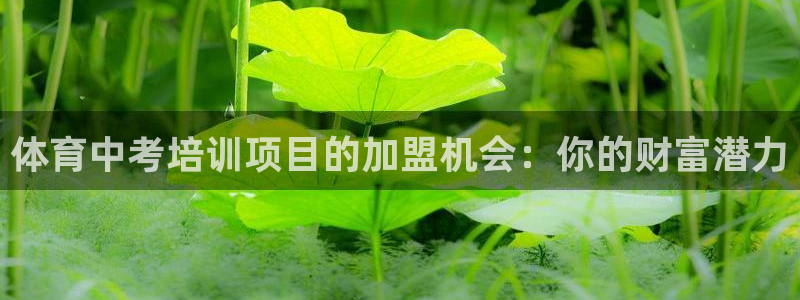 尊龙凯时干什么的：体育中考培训项目的加盟机会：你的财