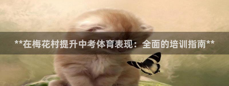 尊龙z6平台：**在梅花村提升中考体育表现：全面的培