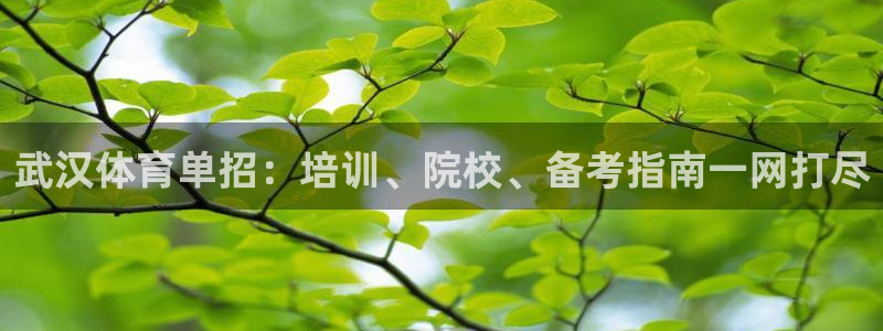 尊龙凯时人生就博：武汉体育单招：培训、院校、备考指南