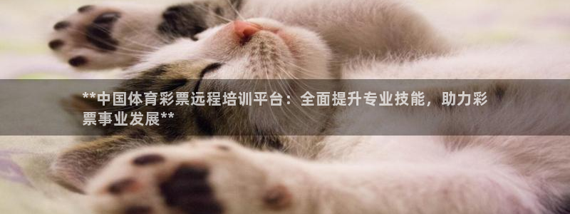 最新凯时官网网址：**中国体育彩票远程培训平台：全面