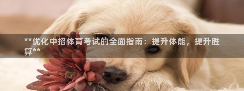 尊龙凯时ag旗舰厅官：**优化中招体育考试的全面指南