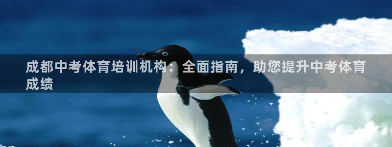 尊龙在线登录官网：成都中考体育培训机构：全面指南，助