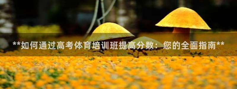 尊龙官方：**如何通过高考体育培训班提高分数：您的全