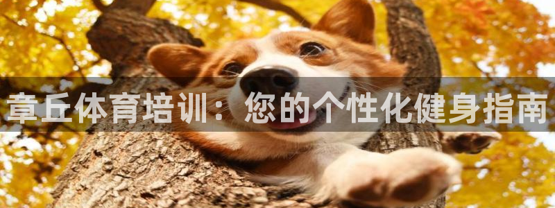 ag尊龙凯时集团：章丘体育培训：您的个性化健身指南