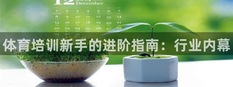 尊龙凯时注册入口：体育培训新手的进阶指南：行业内幕