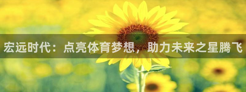 尊龙凯时推荐人：宏远时代：点亮体育梦想，助力未来之星