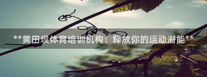 凯时ag旗舰厅：**黄田坝体育培训机构：释放你的运动