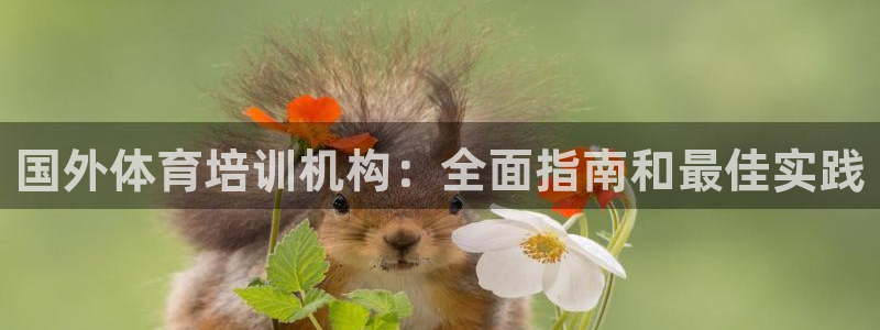 尊龙人生就是博l：国外体育培训机构：全面指南和最佳实践