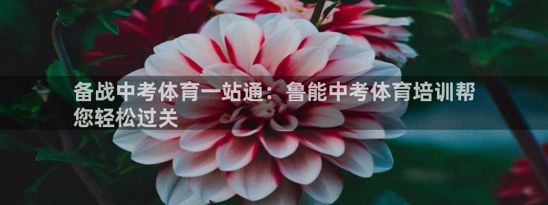 尊龙Ag：备战中考体育一站通：鲁能中考体育培训帮
您