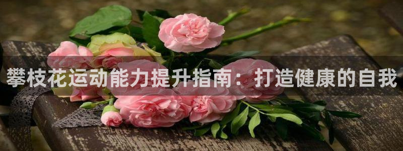尊龙凯时是赌博嘛：攀枝花运动能力提升指南：打造健康的