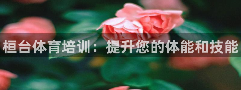尊龙 下载：桓台体育培训：提升您的体能和技能