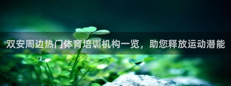 尊龙凯时几百万怎么下：双安周边热门体育培训机构一览，助您释放