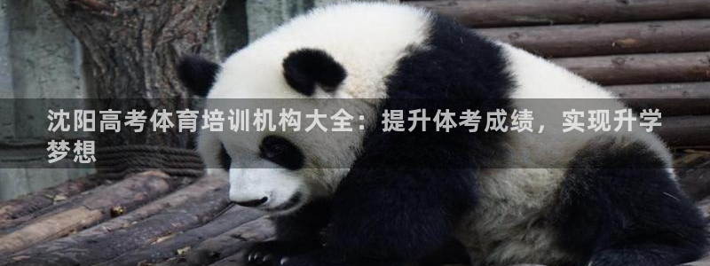 尊龙d88官网选RA来就送38：沈阳高考体育培训机构