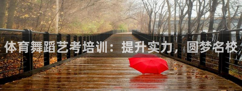 凯时a88：体育舞蹈艺考培训：提升实力，圆梦名校