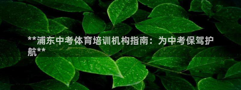 尊龙官网手机版下载：**浦东中考体育培训机构指南：为