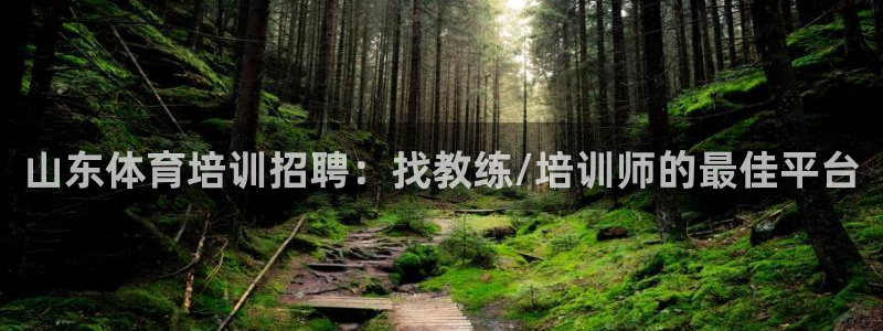 尊龙凯时能提现吗：山东体育培训招聘：找教练/培训师的