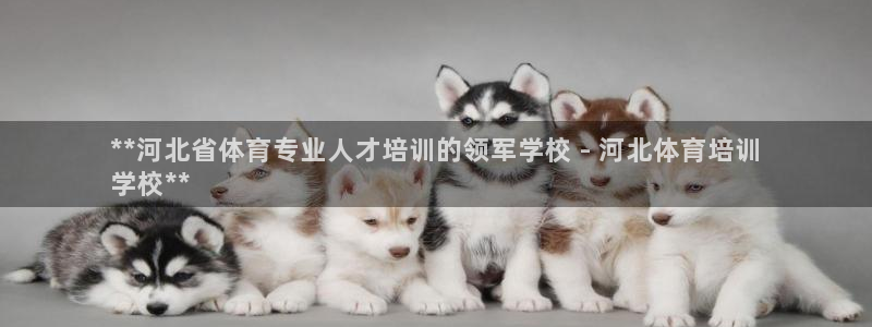 尊龙eight is enough：**河北省体育专
