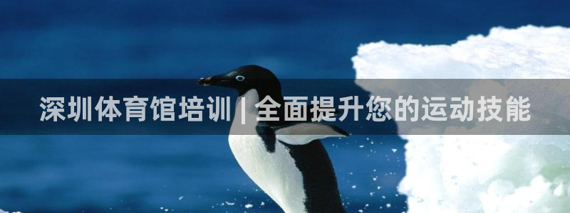 百度一下尊龙：深圳体育馆培训 | 全面提升您的运动技