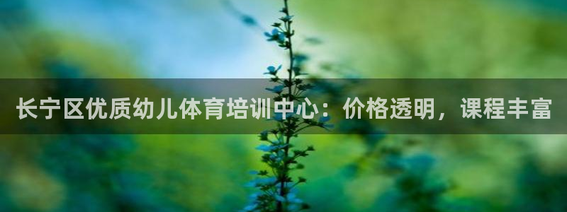 尊龙公司：长宁区优质幼儿体育培训中心：价格透明，课程