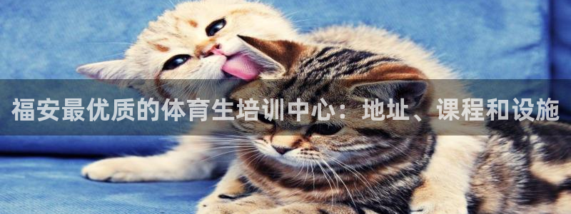 尊龙凯时下载人生就是博：福安最优质的体育生培训中心：