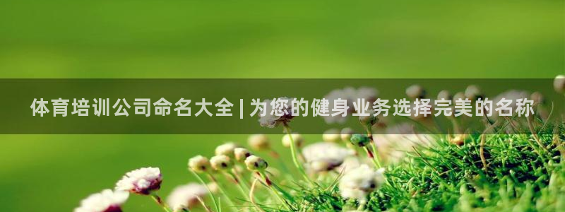 尊龙凯时app官方网站：体育培训公司命名大全 | 为