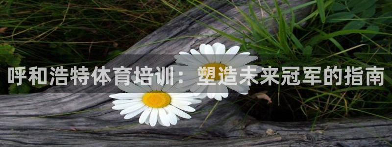 尊龙D88现金旧版：呼和浩特体育培训：塑造未来冠军的