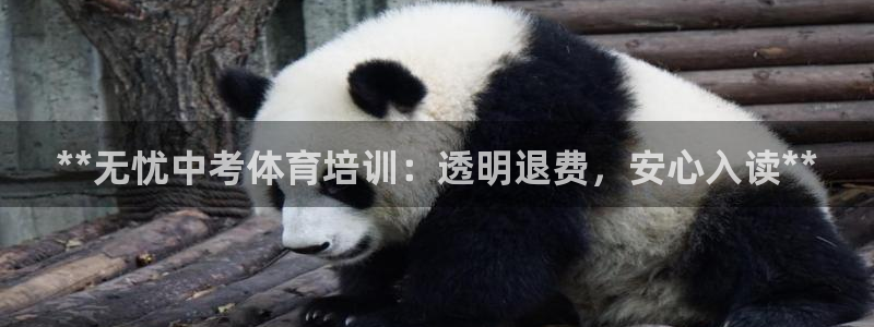 kb88凯时SO权威AG发财网：**无忧中考体育培训