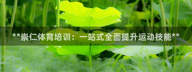 尊龙凯时取款一直支付中：**崇仁体育培训：一站式全面提升运动