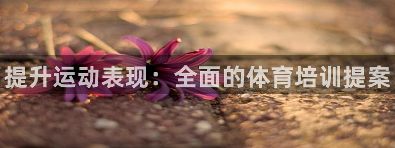 尊龙体育游戏平台：提升运动表现：全面的体育培训提案