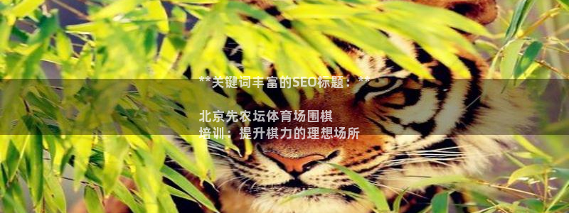 尊龙人生就是博旧版现金娱乐一下：**关键词丰富的SE