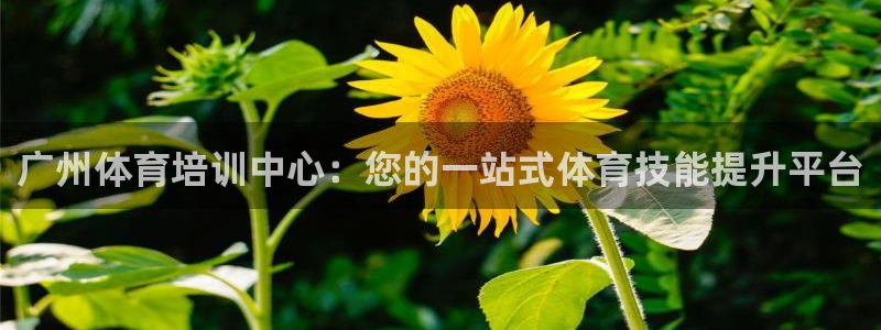 尊龙实业 吴友良：广州体育培训中心：您的一站式体育技能提升平
