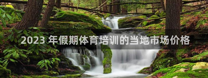 尊龙z6.con： 2023 年假期体育培训的当地市