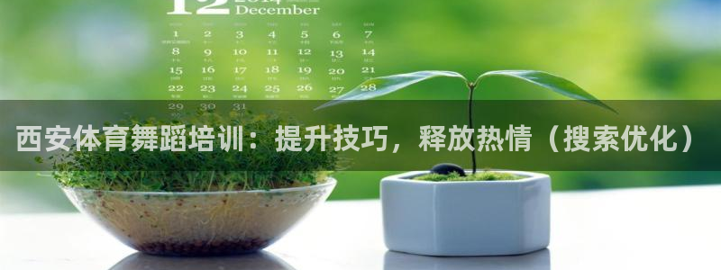 尊龙光学怎么样：西安体育舞蹈培训：提升技巧，释放热情