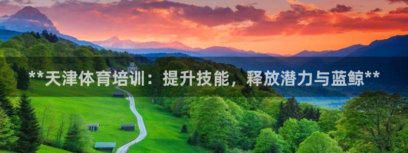 尊龙 6：**天津体育培训：提升技能，释放潜力与蓝鲸