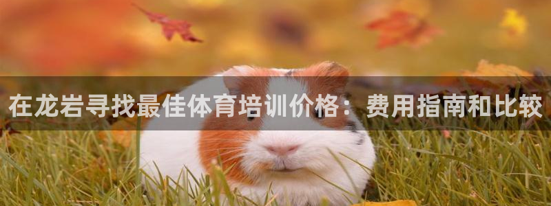 尊龙凯时 - 人生就是搏!提款怎么样：在龙岩寻找最佳体育培训