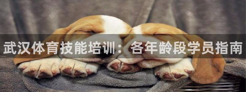 尊龙凯时福米推荐人：武汉体育技能培训：各年龄段学员指
