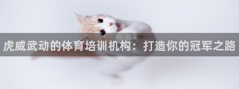 尊龙体育直接访问agbaofu.wang|ag暴富网