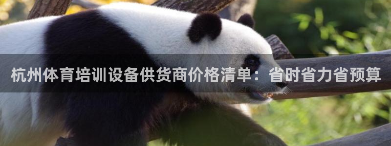 尊龙网站注册站注册：杭州体育培训设备供货商价格清单：