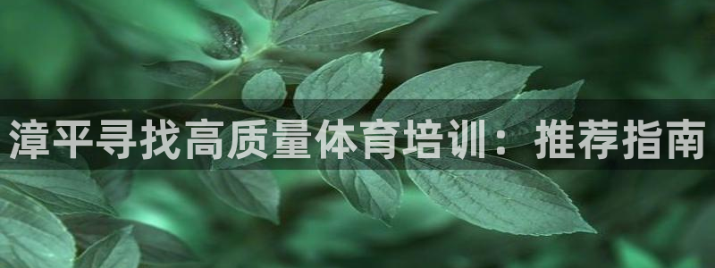 尊龙官网网页版：漳平寻找高质量体育培训：推荐指南