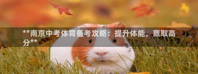 最新凯时官网网址：**南京中考体育备考攻略：提升体能