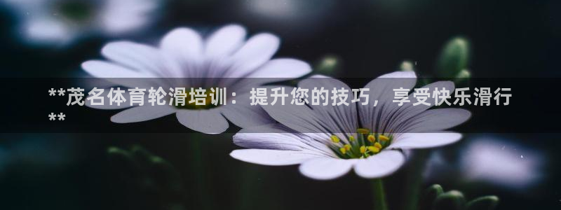 首页尊龙d88国际：**茂名体育轮滑培训：提升您的技