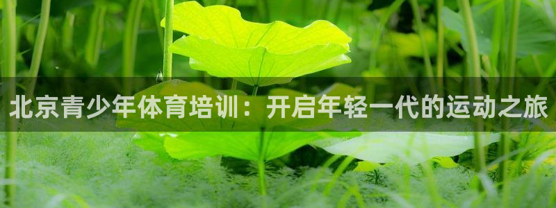 d88尊龙可靠送38元：北京青少年体育培训：开启年轻