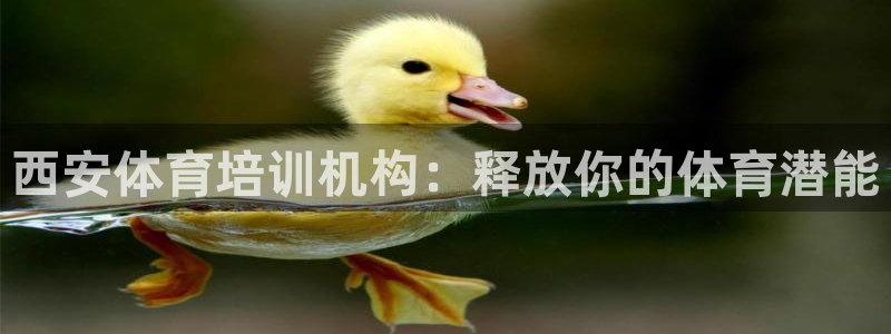 尊龙AG旗舰厅APP：西安体育培训机构：释放你的体育