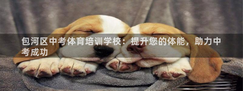 KB88凯时官网：包河区中考体育培训学校：提升您的体