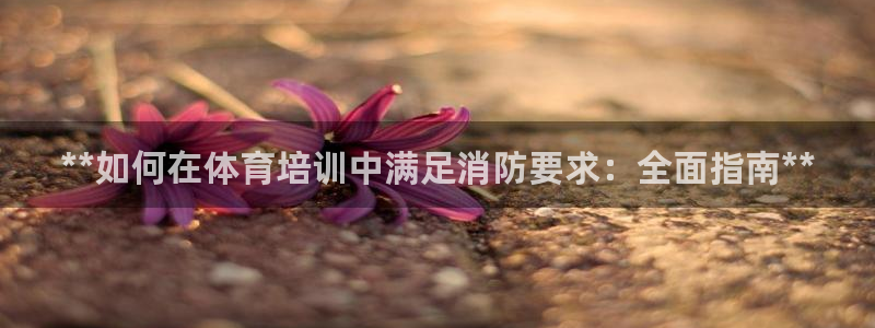 尊龙 6：**如何在体育培训中满足消防要求：全面指南