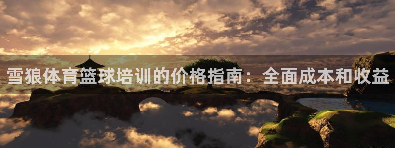 尊龙传奇英文怎么写：雪狼体育篮球培训的价格指南：全面