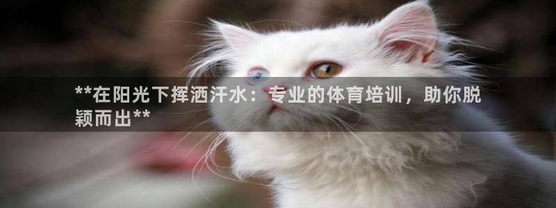 尊龙z6.con：**在阳光下挥洒汗水：专业的体育培