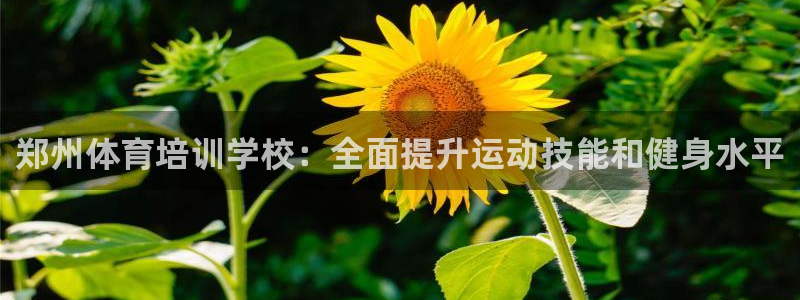 AG尊龙凯时注册：郑州体育培训学校：全面提升运动技能