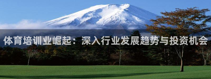 尊龙新版登录网址下载：体育培训业崛起：深入行业发展趋