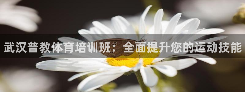 尊龙人生就是博：武汉普教体育培训班：全面提升您的运动